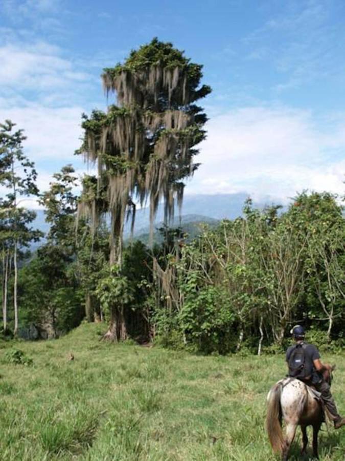 Hacienda Monteclaro Otel Turrialba Dış mekan fotoğraf