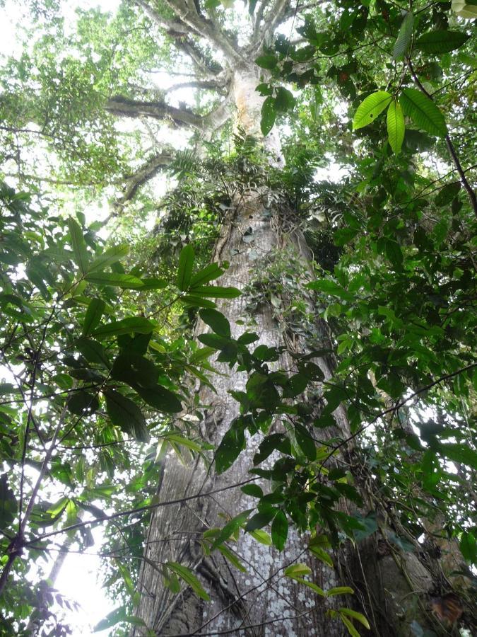 Hacienda Monteclaro Otel Turrialba Dış mekan fotoğraf