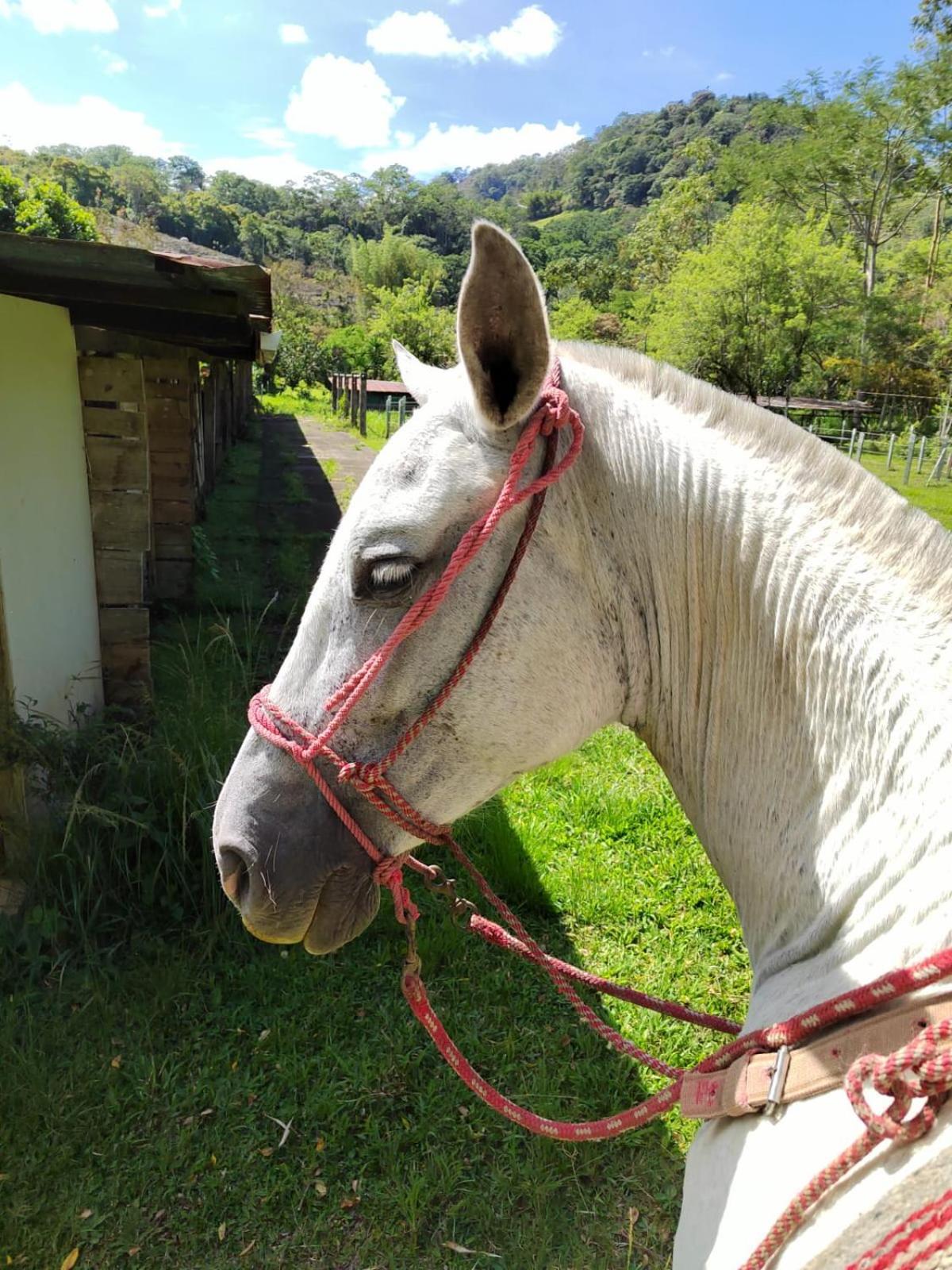 Hacienda Monteclaro Otel Turrialba Dış mekan fotoğraf