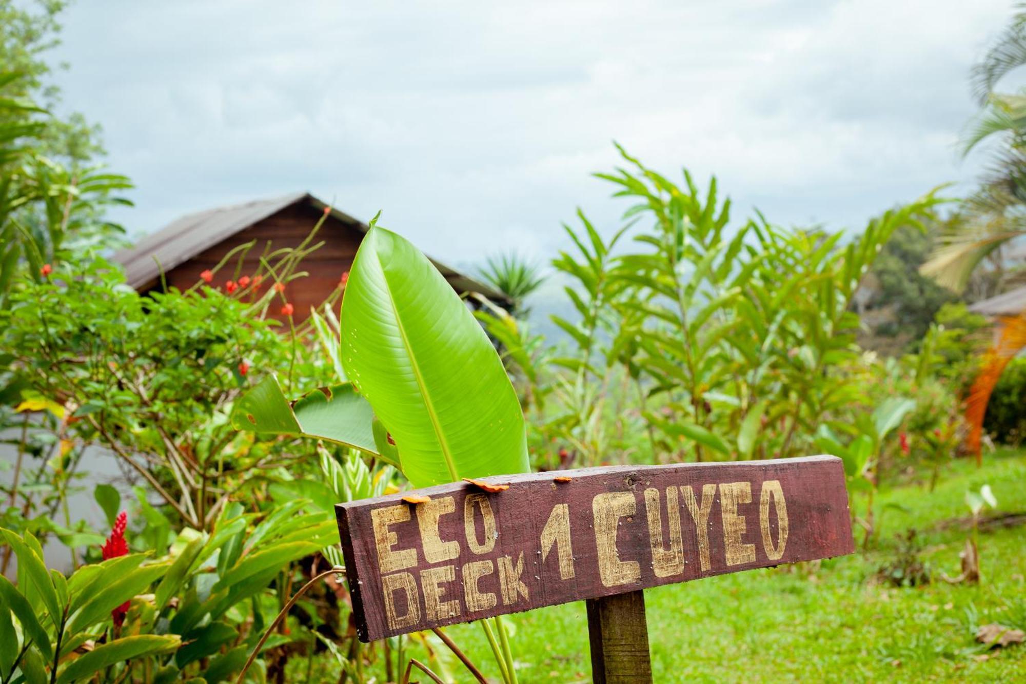 Hacienda Monteclaro Otel Turrialba Dış mekan fotoğraf
