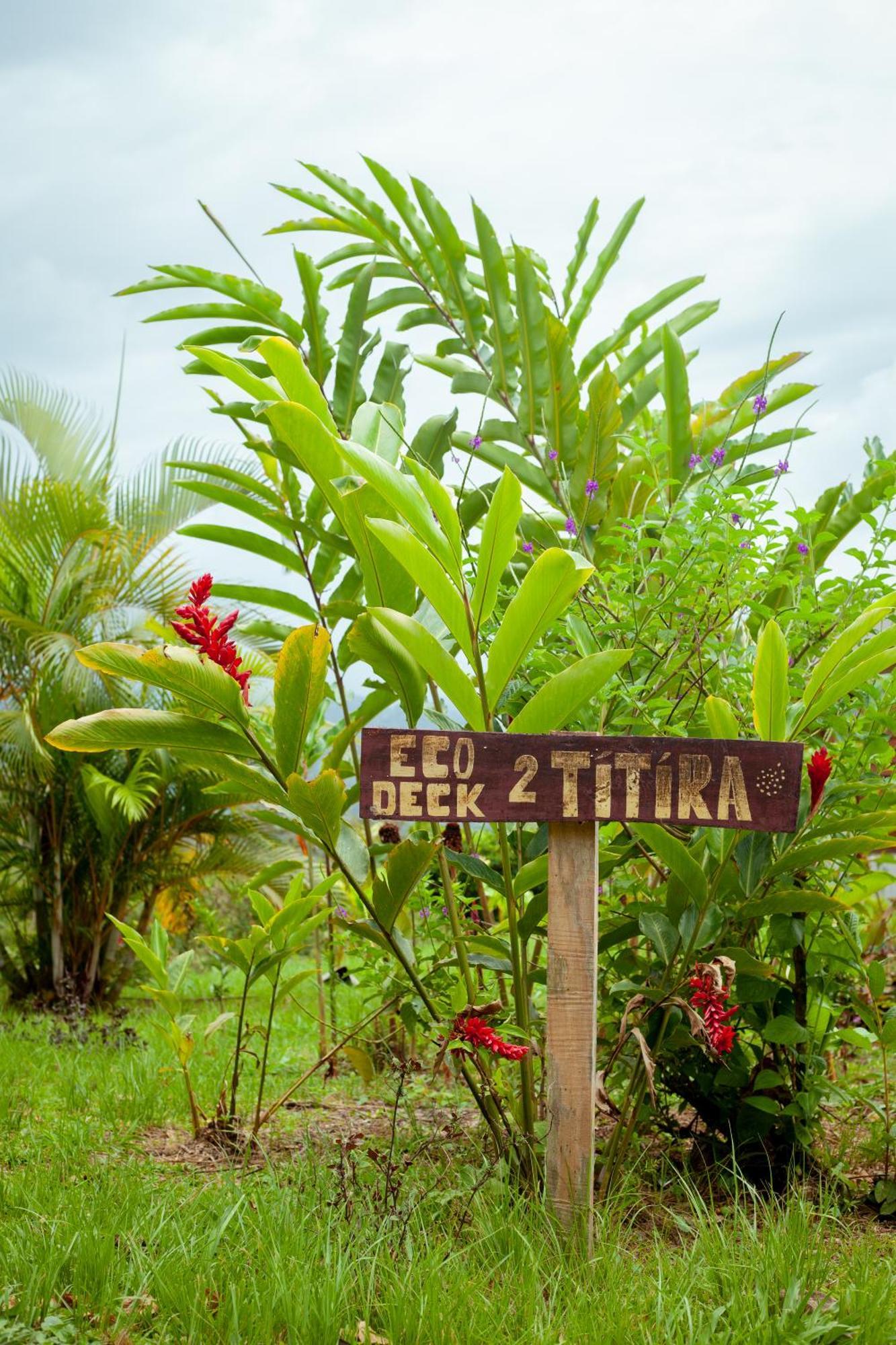 Hacienda Monteclaro Otel Turrialba Dış mekan fotoğraf